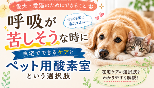 犬や猫の呼吸が苦しそうな時に｜自宅でできるケアとペット用酸素室という選択肢